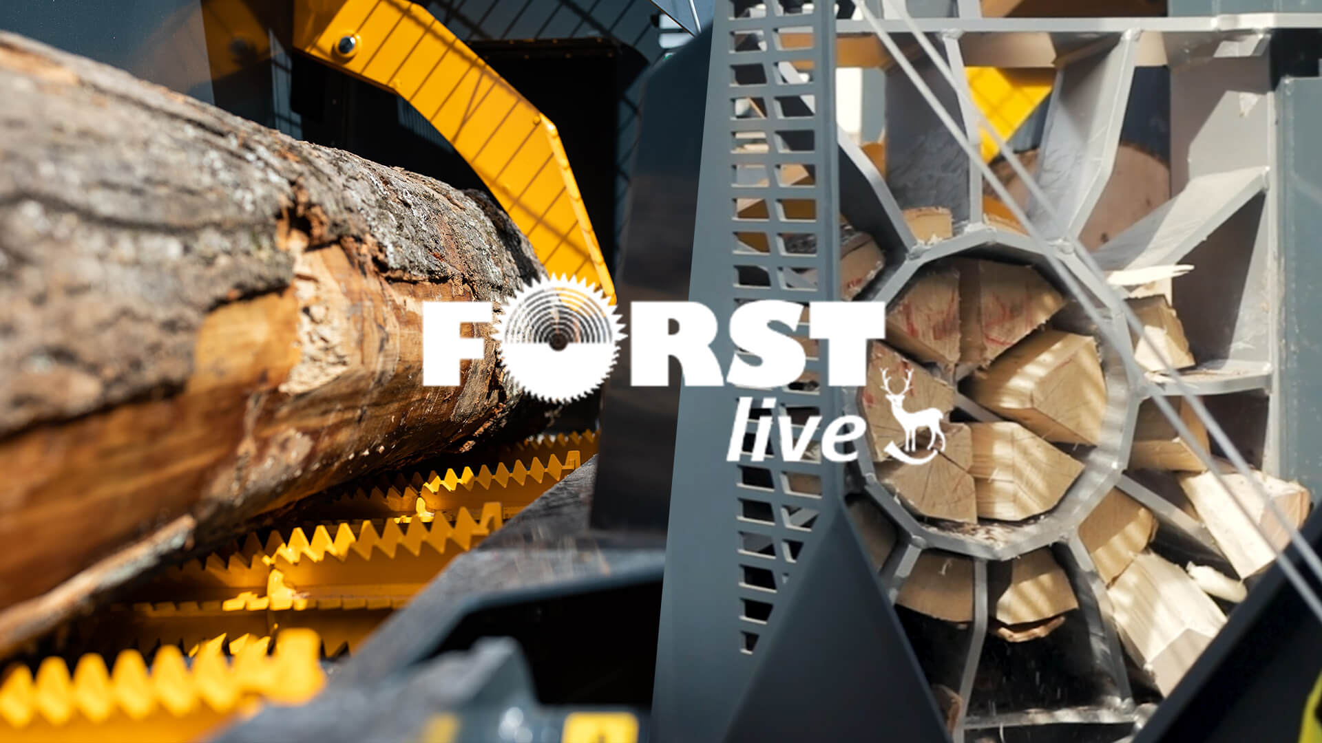 Video: Uniforest na FORST Live 2024